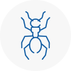 Ant Removals In Moreton