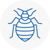 Bed Bug Extermination In Moreton