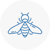 Bee Nest Removal Moreton