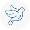 Bird Prevention Moreton