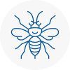 Moreton Hornet Nest Removals