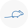 Mice Exterminators In Moreton