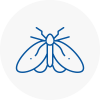 Moth Control Specialists In Moreton