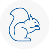 Moreton Rodent Removals